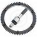 COMPLETE STARTER RING GEAR CONVERSION KIT (Evolution Industries)