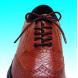 ELASTIC SHOELACES