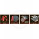 Click on a thumbnail to view larger image.