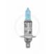 HIGH-PERFORMANCE HALOGEN BULBS (PIAA Powersports)