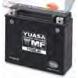 AGM (MAINTENANCE-FREE) BATTERIES (YUASA)
