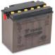 YUMICRON CX 12V BATTERIES