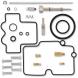 Carburetor Repair Kit
