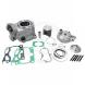 CYLINDER KITS FOR YAMAHA (Athena)