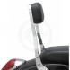 COBRA™ SISSY BARS (Cobra USA)