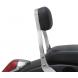 COBRA™ MINI SISSY BAR (Cobra USA)