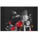 QUANTUM LOW BOY HEAVY DUTY NARROW FRAME WINDSHIELD (National Cycle)