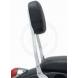 COBRA™ STANDARD SISSY BAR (Cobra USA)