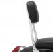 COBRA™ SHORT SISSY BAR (Cobra USA)