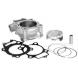 COMPLETE PISTONS FOR ATHENA CYLINDER KITS (Athena)