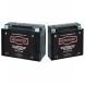 MOTOR FACTORY® BATTERIES (Motor Factory)