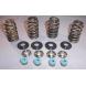 VALVE SPRING KITS FOR LATE TWIN CAM 88® ENGINES (Manley)