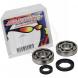 CRANKSHAFT BEARING AND SEAL KITS (All Balls)