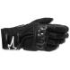 POLAR GORE-TEX® GLOVES (Alpinestars)