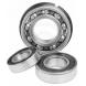 DRIVESHAFT AND PUMP BEARINGS (WSM)