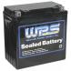 WPS SEALED “NO HAZARD” WATERCRAFT BATTERIES (WPS)