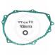 KAWASAKI TIMING ADVANCE PLATES (R&D)