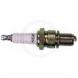 SPARK PLUGS (NGK Spark Plugs)
