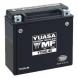 Maintenance Free Battery