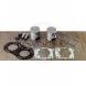 TOP-END REBUILD KITS (WSM)