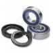 WHEEL BEARINGS (Moose Racing)