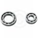 BEARINGS AND SEALS FOR POLARIS ATVS (EPI)