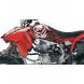 GRAPHIC KITS (Factory Effex)