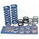 FRONT MULTI-RATE SHOCK SPRING KITS