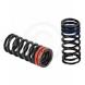 VALVE SPRINGS