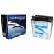FIRE POWER MAINTENANCE FREE BATTERIES (Fire Power Battery)