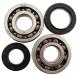 CRANKSHAFT BEARING AND SEAL KITS