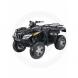 2010 Thundercat 1000 H2