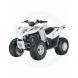 2010 90 DVX Youth