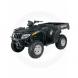 2010 TBX 700 H1 EFI
