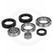 DIFFERENTIAL BEARING AND SEAL KITS