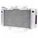 POWERSPORTS RADIATORS (Fluidyne)