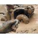 WARN® WINCH WIRELESS CONTROL SYSTEM
