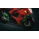 SUPER LIZARDS FOR SPORT BIKES