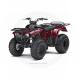 2010 Bayou® 250