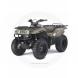 2010 Prairie® 360 4x4 (Camo)