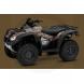 2010 FourTrax Rincon Camo