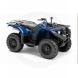 2010 Grizzly 450 Auto. 4X4 IRS