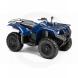 2010 Grizzly 350 Auto. 4x4 IRS