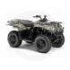 2010 Big Bear 400 4x4 IRS Camo