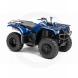 2010 Grizzly 350 Auto. 4X4