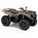 2010 Kodiak 350 Camo AP HD
