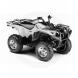 2010 Grizzly 700 FI Auto. 4x4 EPS Special Edition