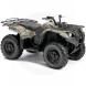 2010 Kodiak 450 Camo