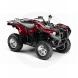 2010 Grizzly 550 FI AUTO, 4X4 EPS Special Edition