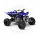 2010 YFZ450R